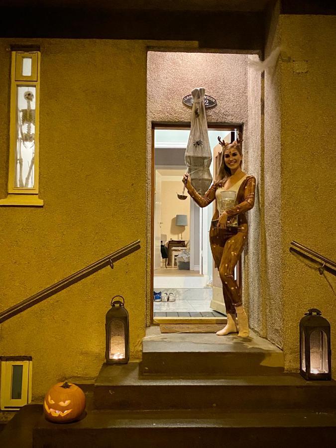 Casa Disa - Dreams, A Boutique Guesthouse In Reykjavik City'S Central Park And Botanical Garden In Laugardalur, Hot-Spring-Valley Extérieur photo