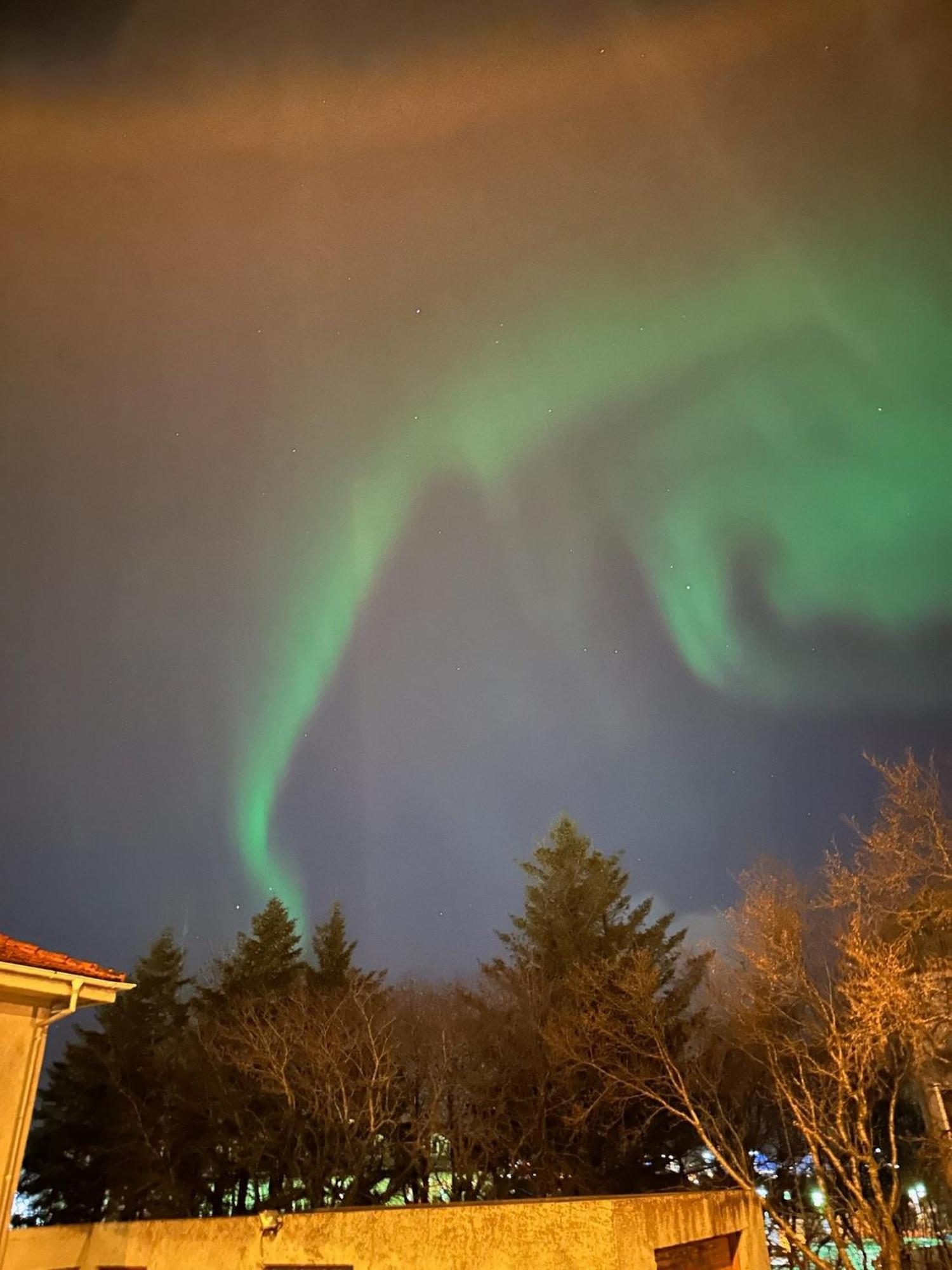 Casa Disa - Dreams, A Boutique Guesthouse In Reykjavik City'S Central Park And Botanical Garden In Laugardalur, Hot-Spring-Valley Extérieur photo