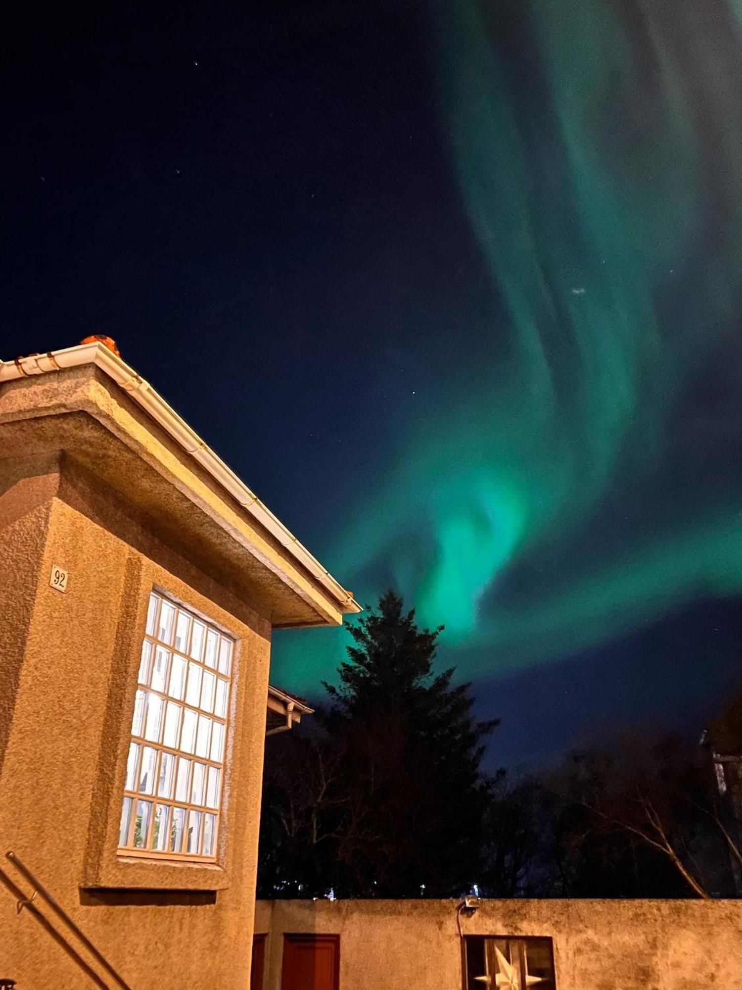 Casa Disa - Dreams, A Boutique Guesthouse In Reykjavik City'S Central Park And Botanical Garden In Laugardalur, Hot-Spring-Valley Extérieur photo